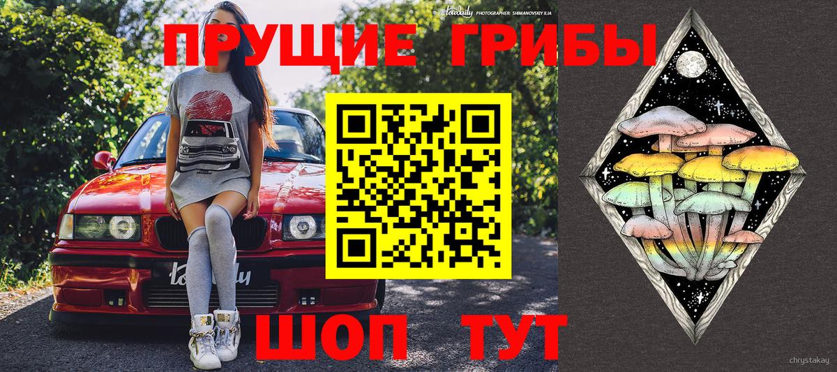 Псилоцибиновые грибы мухоморы Новотроицк