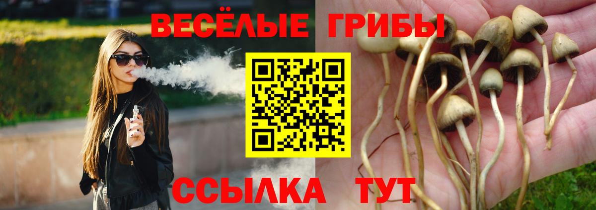 Галлюциногенные грибы прущие грибы  Псилоцибиновые грибы Cubensis  Вход с VPN  Новотроицк 